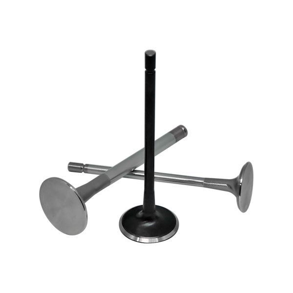 Soupapes forges acier Peugeot 206 RC traitement Black Nitride