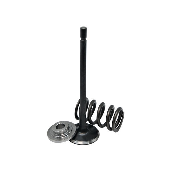 Pack soupapes, coupelles et ressorts renforc�s Peugeot 206 2.0 RC
