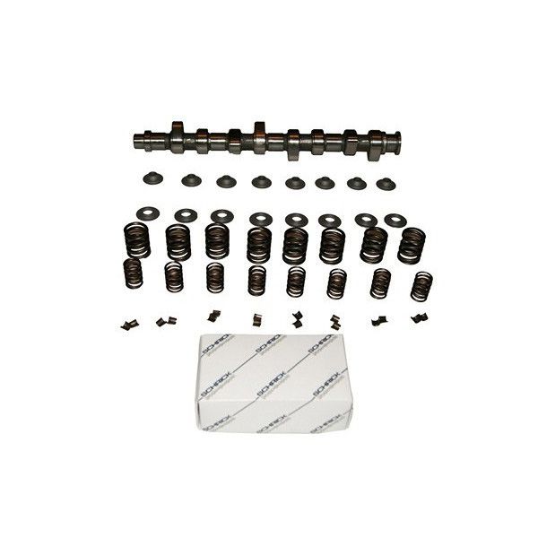Kit complet arbre  cames Schrick VW Golf I GTI moteur EG