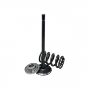Pack soupapes, coupelles et ressorts renforc�s Citroen Xsara 2.0 16S